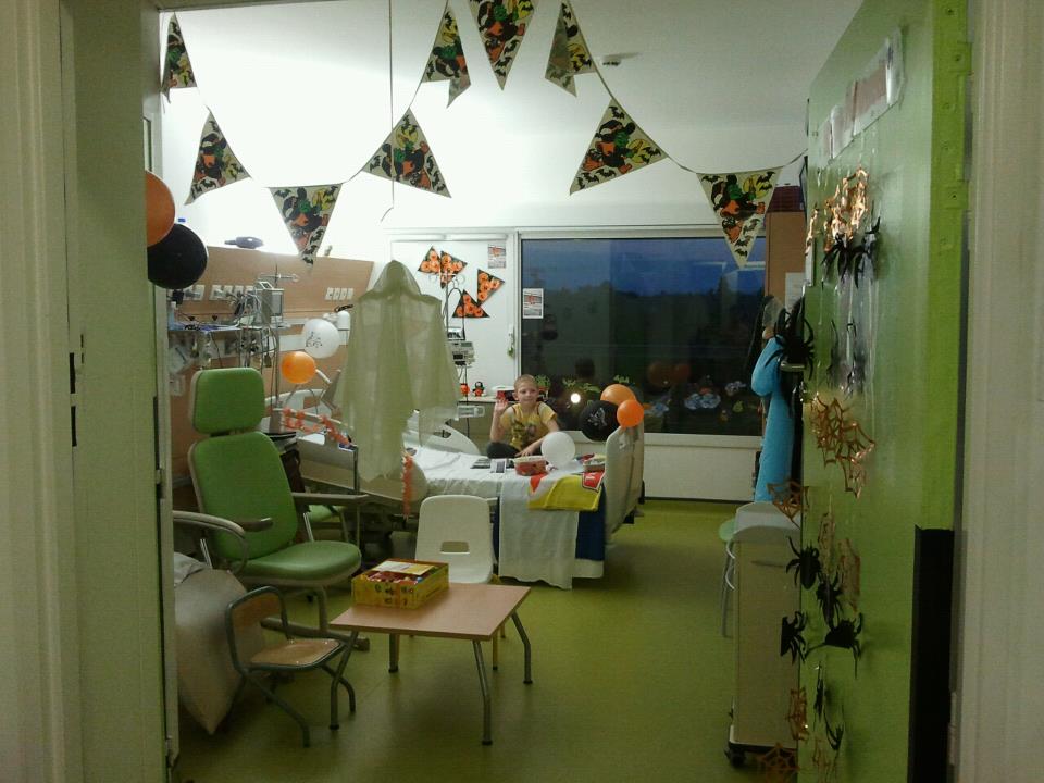 2011, photo 18
